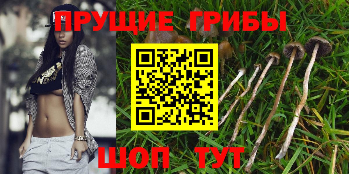 Псилоцибиновые грибы Magic Shrooms Кудрово