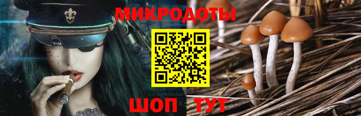 Кудрово  Псилоцибиновые грибы MAGIC MUSHROOMS  Вход с VPN 